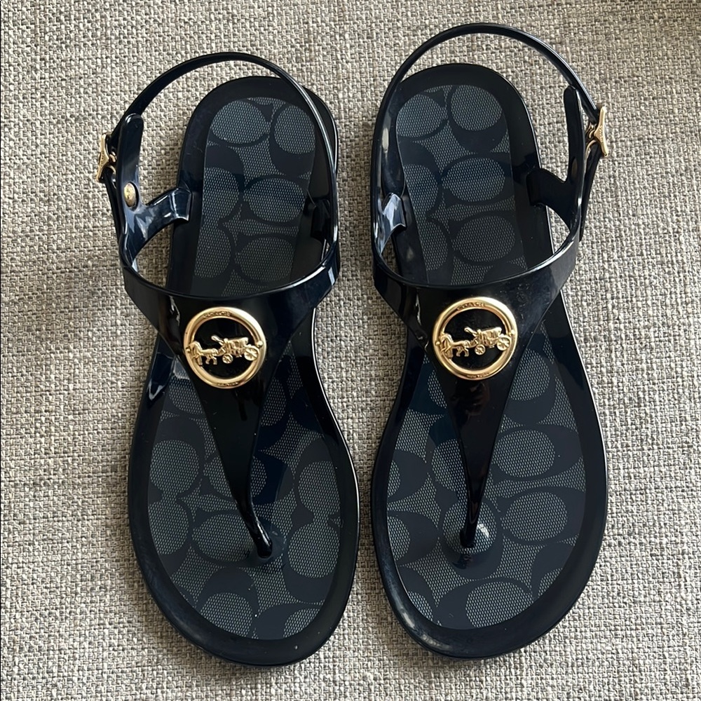 Coach horse and carriage, Black and Gold Sandals